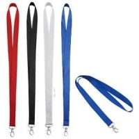 Lanyard