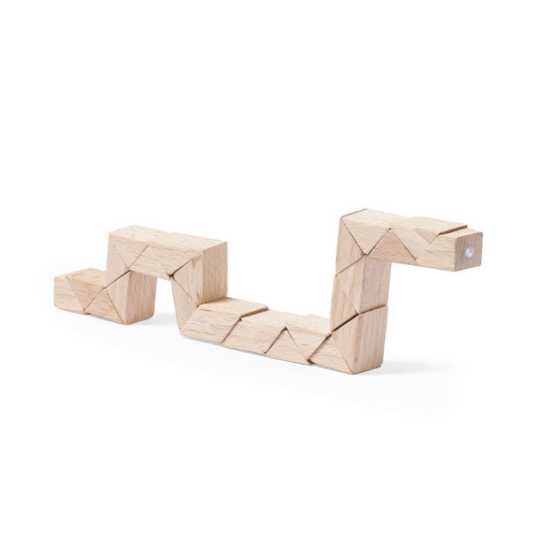 Juego Habilidad Gary - Imagen 8