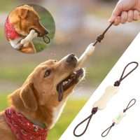 Mordedor Mascotas Salmer